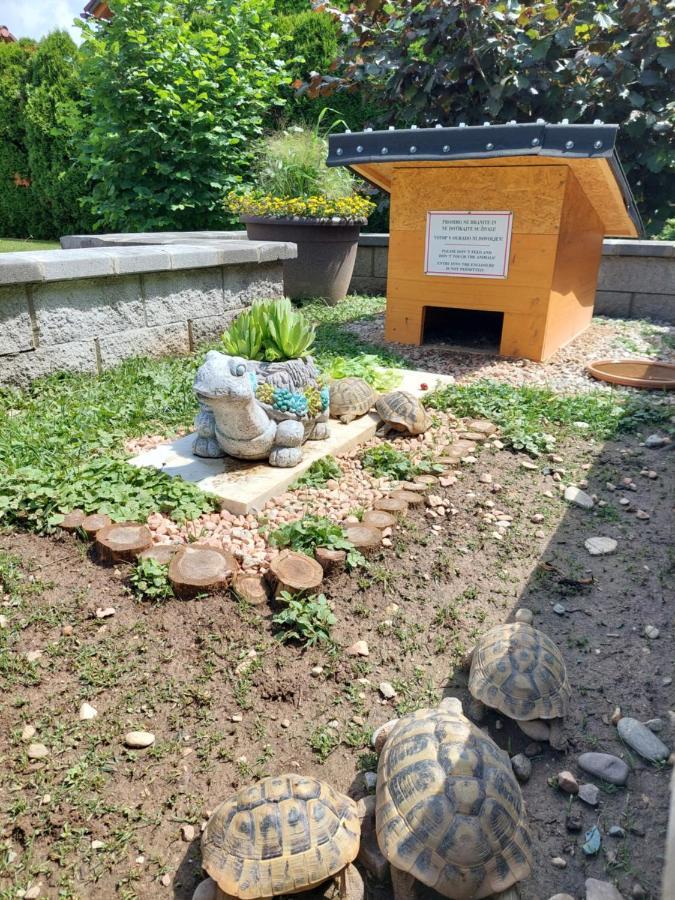 Apartma Zirovnik Cerklje na Gorenjskem Buitenkant foto